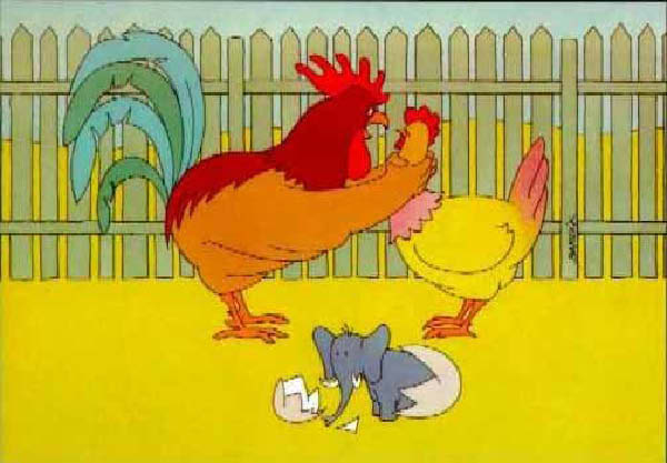 Histoire de poule-humourenvrac